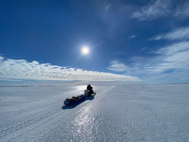 man on sled with moose on sled on bright snow of alaska