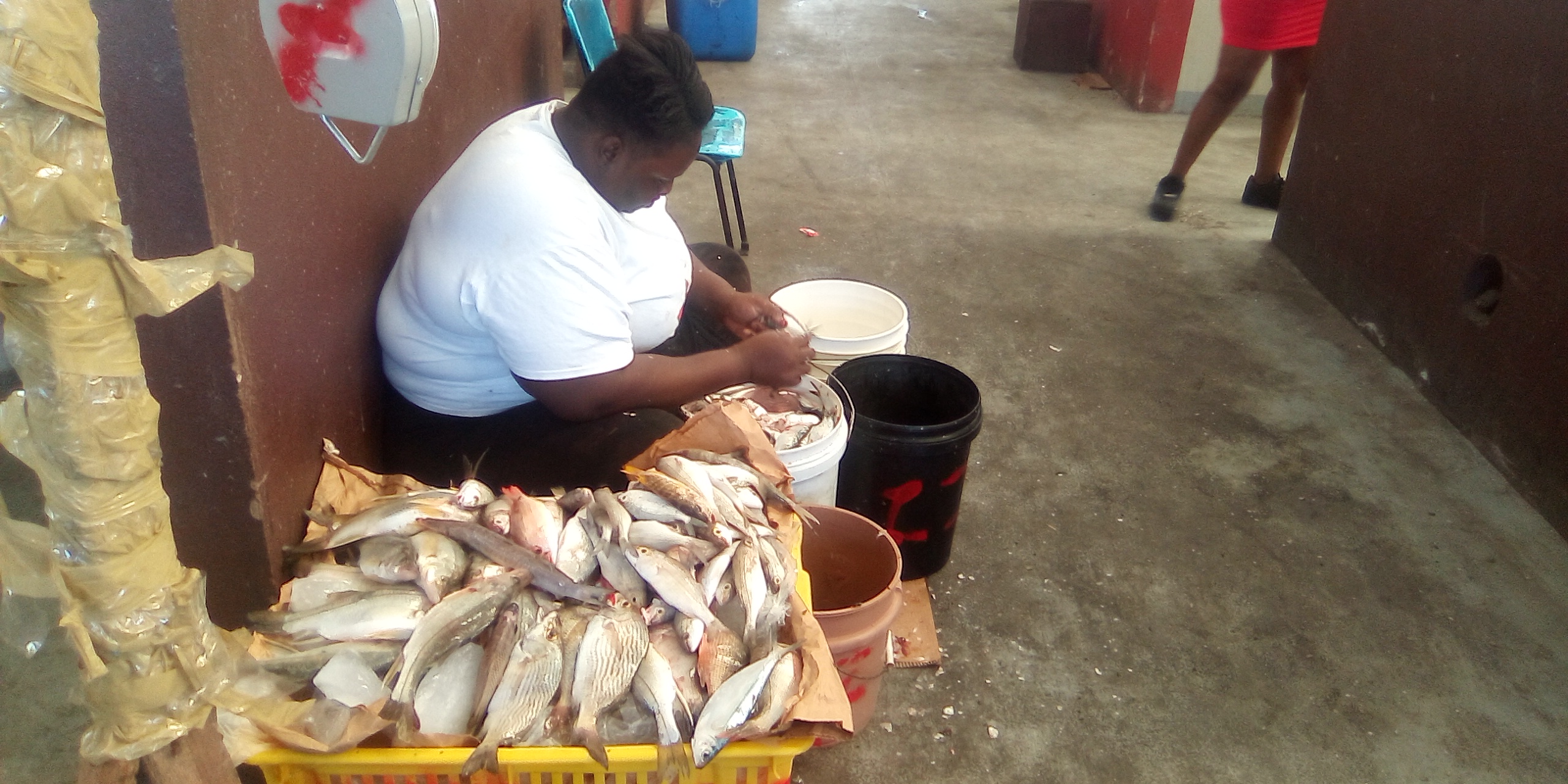 Jamaican sitting next to large tote of fish