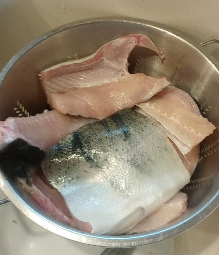 White steelhead fish filets in a bowl
