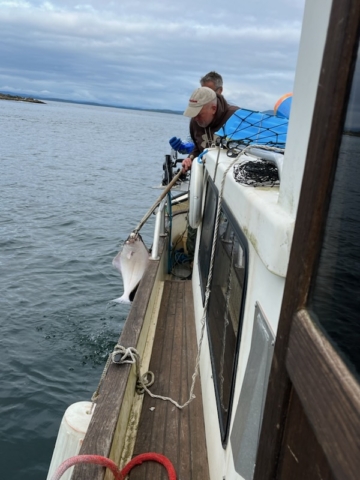 Fisherman reeling in large fish on a boat in Alaska