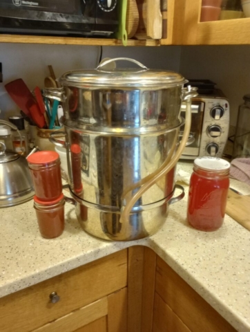 Jars of rhubarb jelly next to a steam juicer on a kitchen counter