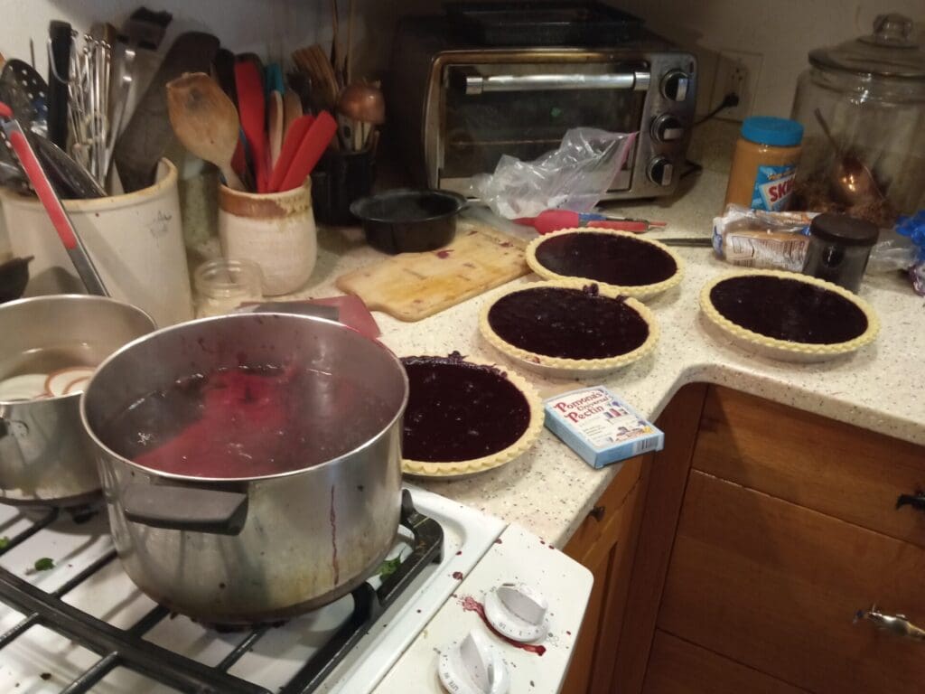 blueberries on the stove with four pies on the counter