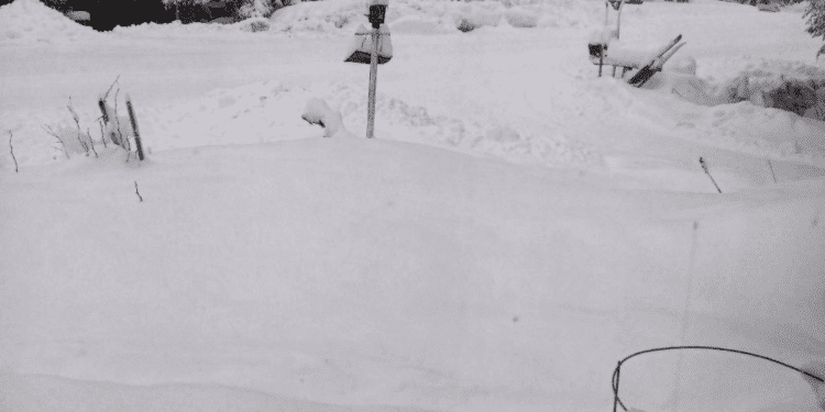 Lots of snow in Juneau