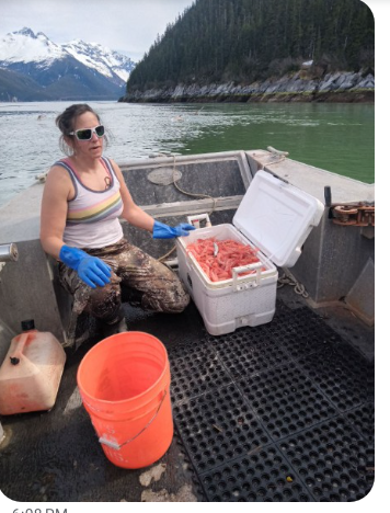 Amanda kneeling by cooler filled with shrimp