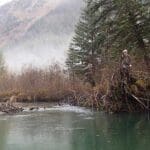 Person standing by misty river in forest setting.