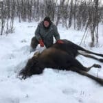 Mark kneeling next to moose in snowy forest