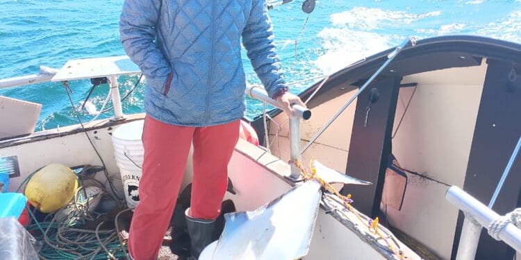 Smiling fisher on boat deck with large halibut catch