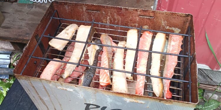 Salmon fillets smoking in a Big Chief electric smoker