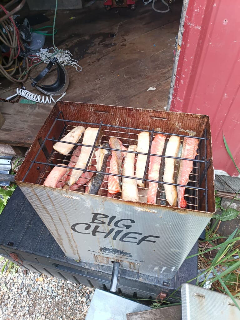 Salmon fillets smoking in a Big Chief electric smoker