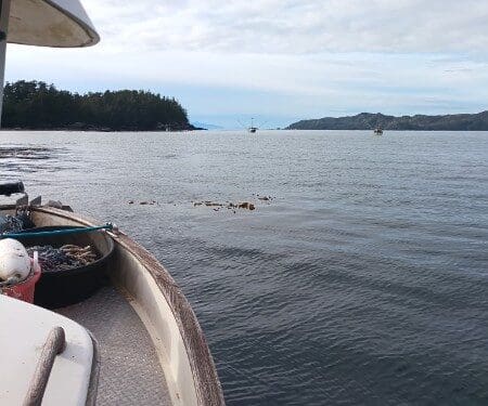 View from boat deck over calm water toward forested islands